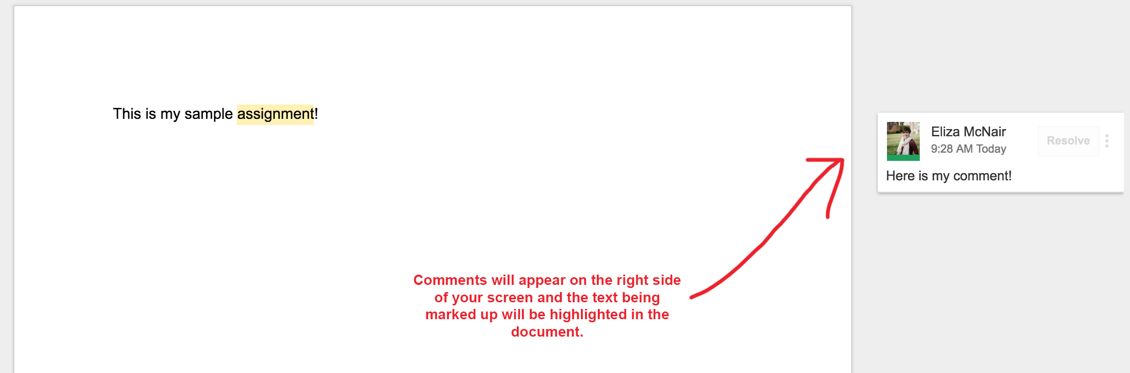 Screenshot of a comment added to a Google document.