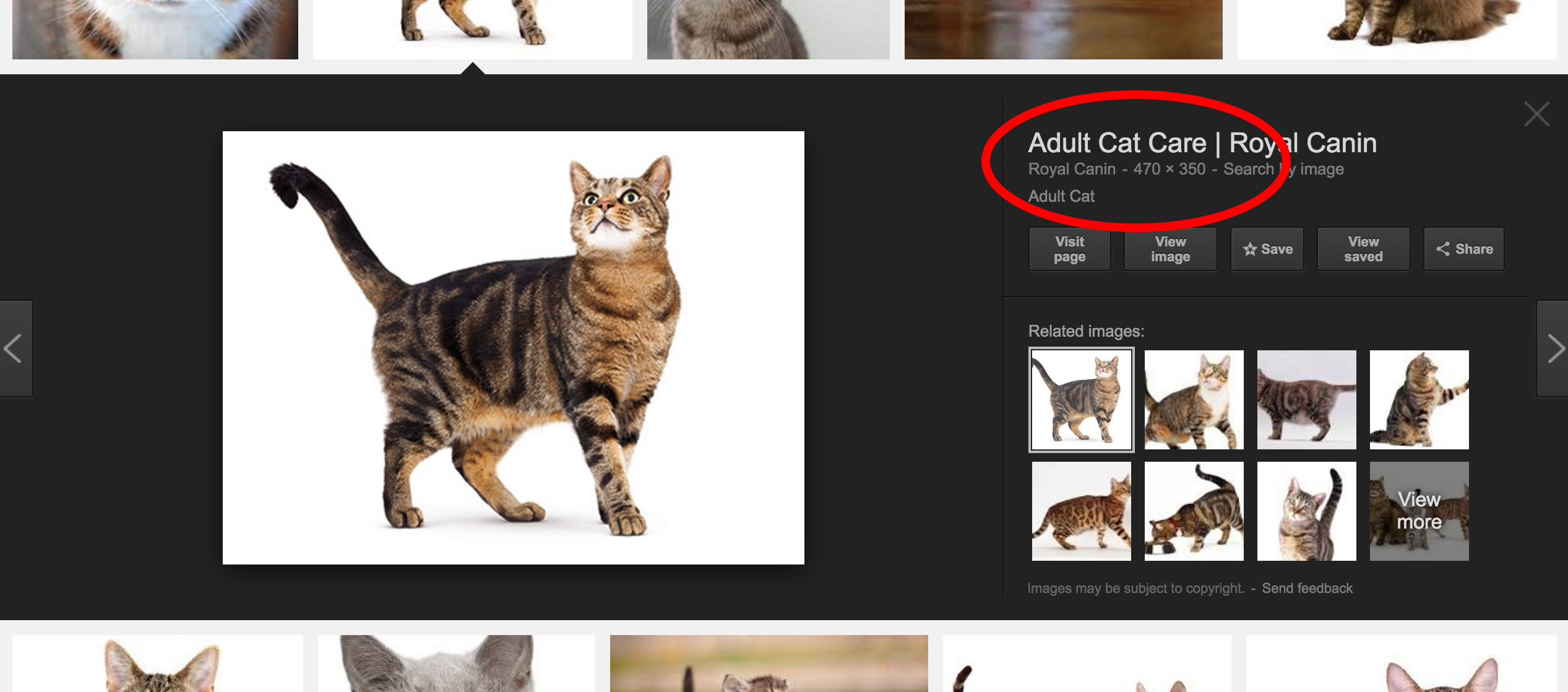 Checking image resolution in Google Images