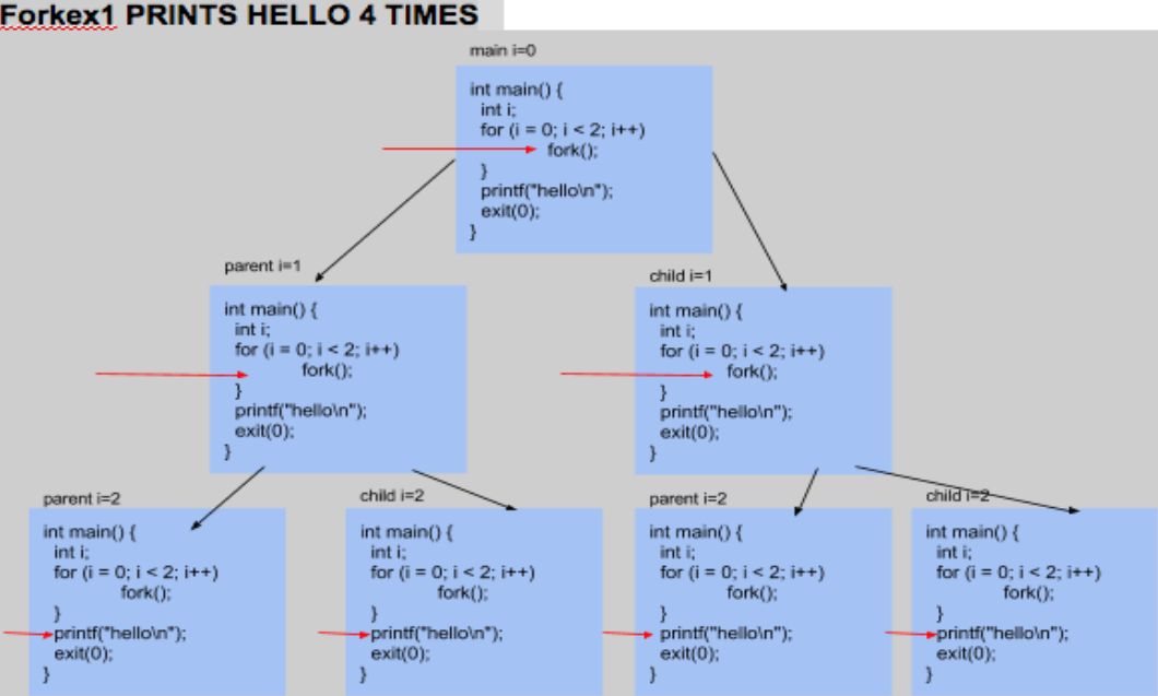 A diagram showing how fork behaves in the ‘forkex1’ program. It shows 7 copies of the code, with one on top, two below that, and four below those two. The fork call is highlighted in each copy, and arrows show how the two middle copies are produced by the first fork call in the loop, while the four bottom copies are produced from the two middle copies by the second fork call in the loop. The bottom four copies have the printf line highlighted since they’re done with the loop and execute that next.
