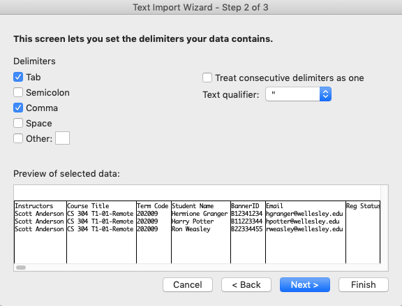 import CSV file into Excel, step 2