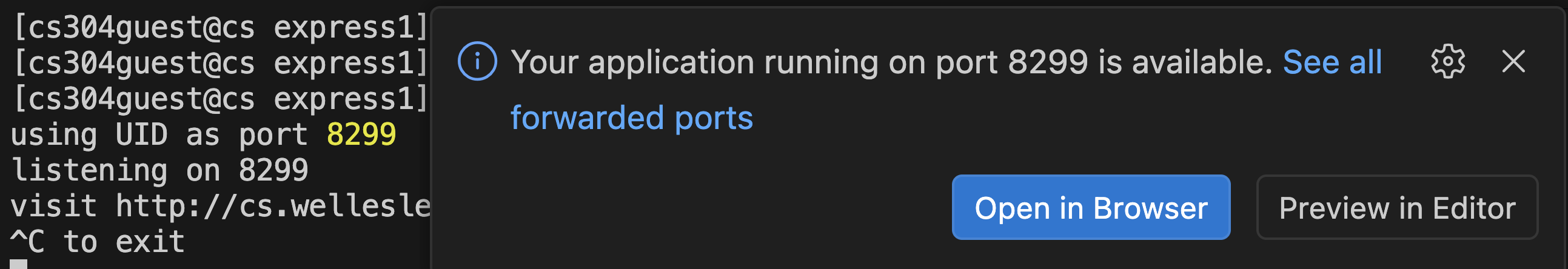 screenshot from VSCode with a big blue button saying 'open in browser'