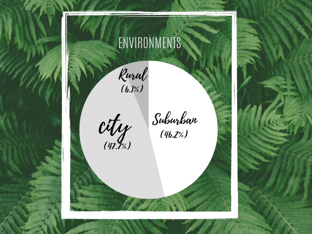 Environment Breakdown